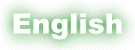 Go to the English site